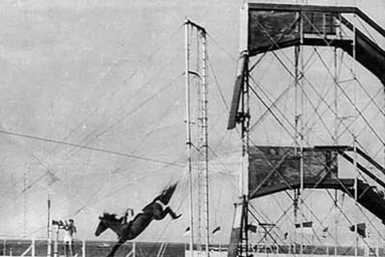 Diving horses' return scrapped by Steel Pier