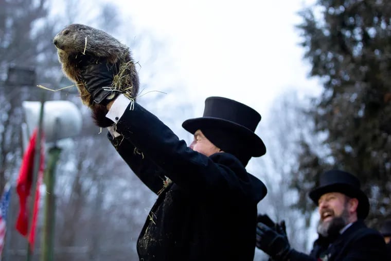 A member of the Punxsutawney Groundhog Club's Inner Circle presents Punxsutawney Phil, who makes his weather prediction on Groundhog Day at Gobbler's Knob in Punxsutawney, Pa., on Feb. 2, 2019. Punxsutawney Phil and his wife, Phyllis, had two surprise baby groundhogs, according to the Punxsutawney Groundhog Club.