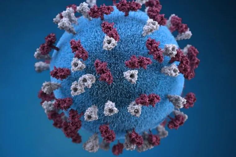 A 3D graphical representation of a , measles virus particle.