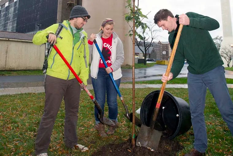 Mike Bideau, left, and Lauren Beach, center, both from the West Chester University Earth Club, and Beau Ryck, right, an intern with the university's Systems Advisory Committee, plant a maple tree in the shadow of the coal-fired power plant on Oct. 22, 2014. ( CHARLES FOX / Staff Photographer )