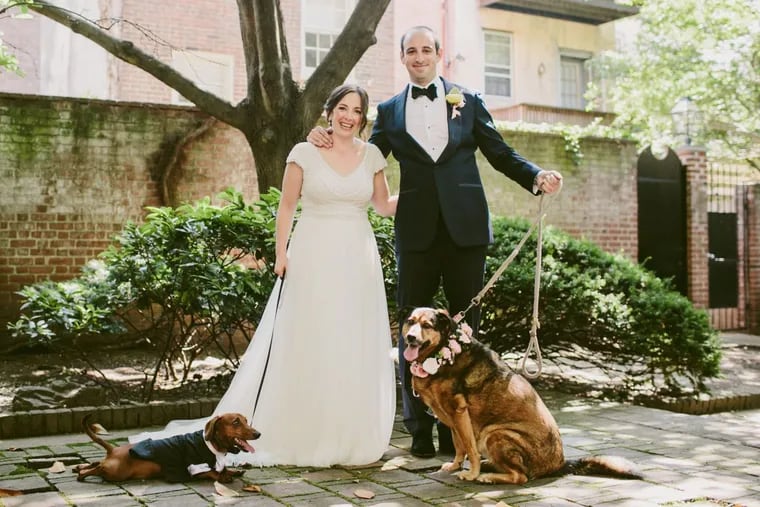 Farrell Sharkey and Phil Edelstein, with dogs Cooper, in tux, and Sophie, in fancy collar.