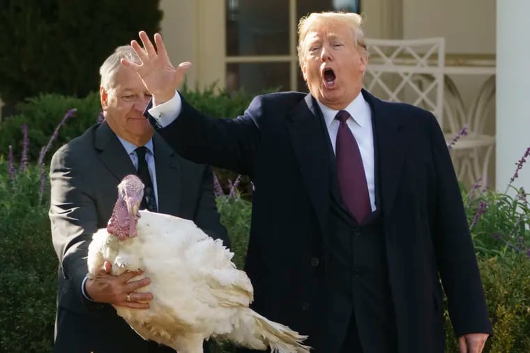 President Donald Trump pardons "Peas", during a ceremony to pardon the National Thanksgiving Turkey, in the Rose Garden of the White House in Washington, Tuesday, Nov. 20, 2018.