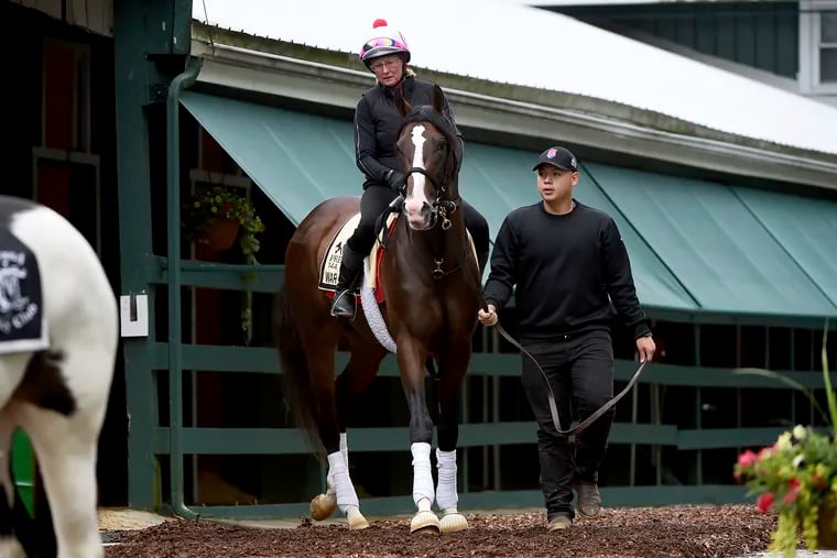 War of Will is Dick Jerardi's pick to win the Preakness.
