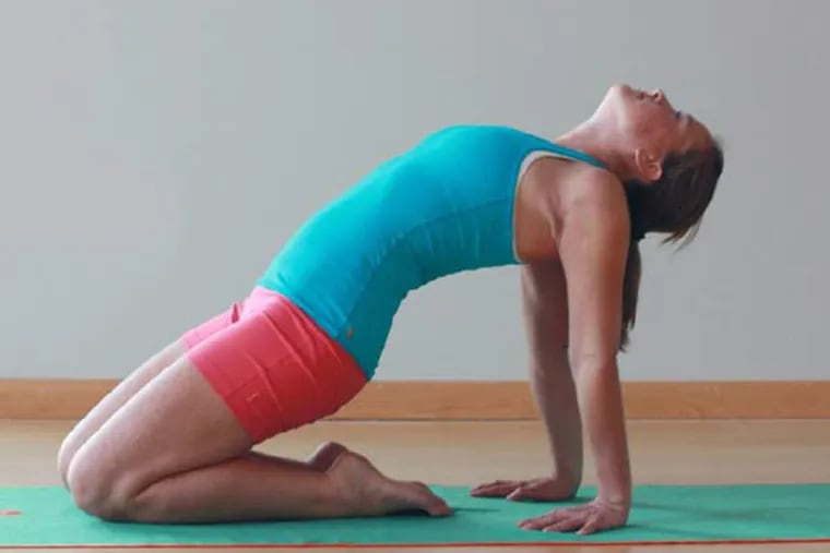 The camel pose stretches quadriceps, shoulders, forearms and wrists; decompresses the middle and upper back; opens up the rib cage; and counteracts the forward hunching position of cycling. (Uma Kleppinger/BikeYoga.com/TNS)