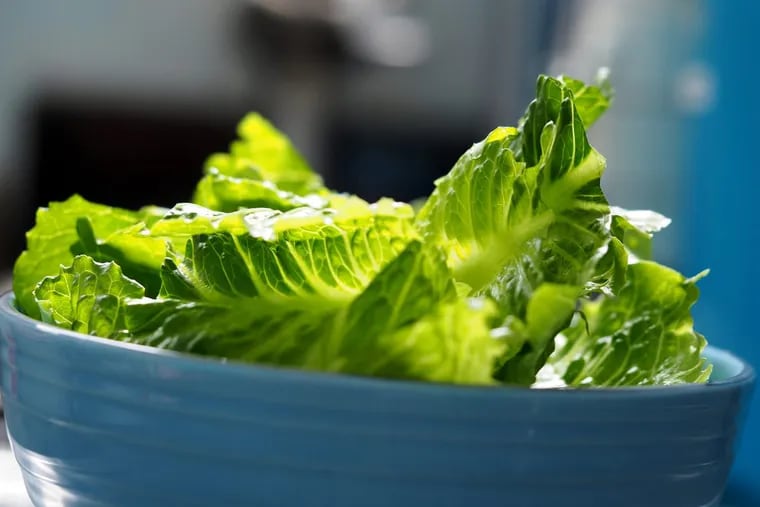 Health officials are urging consumers to throw out store-bought chopped romaine lettuce after an E. coli outbreak.