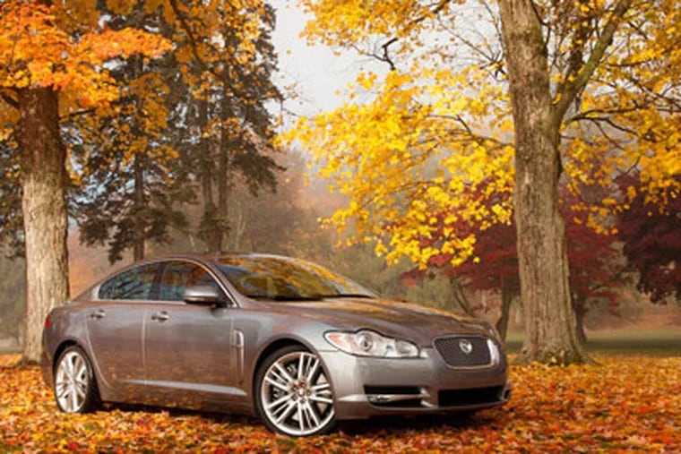 XF parked under trees with autumn leaves