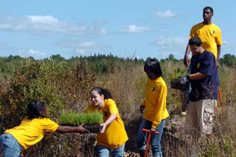 Volunteer Jasmine Taylor (left) , 17, helps Franchesca Vicente (second from left), 19, carry a flat of trees down a small hill. They are members of the N.J. Youth Corps, helping with the plantings.
