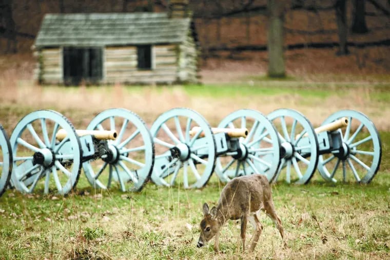 In this Dec. 2, 2009 photo, shown is a deer in view of cannon at Valley Forge National Park, in Valley Forge, Pa. (AP Photo/Matt Rourke)