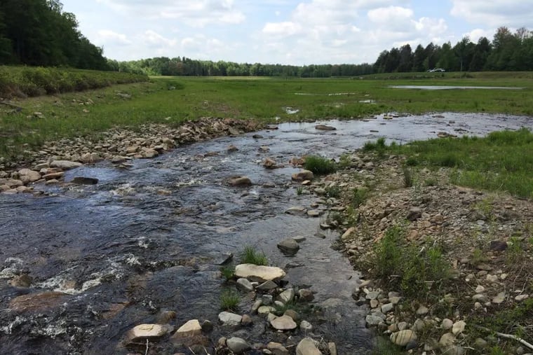 A portion of the 500 acres containing headwaters of the Lehigh River acquired by the Wildlands Conservancy.