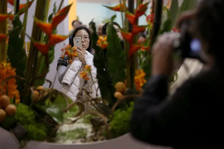 Attendees photograph a display during the first day of the annual Philadelphia Flower Show at the Convention Center in Center City Philadelphia.