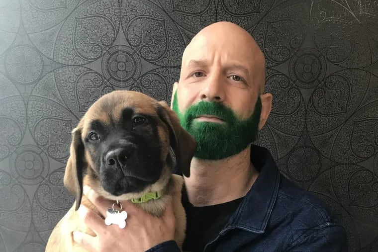 Chef Marc Vetri, with his 12-week-old mastiff/lab puppy Vinny, had his beard dyed green in tribute to the Philadelphia Eagles at Cynergy Hair Salon, 1527 South St.