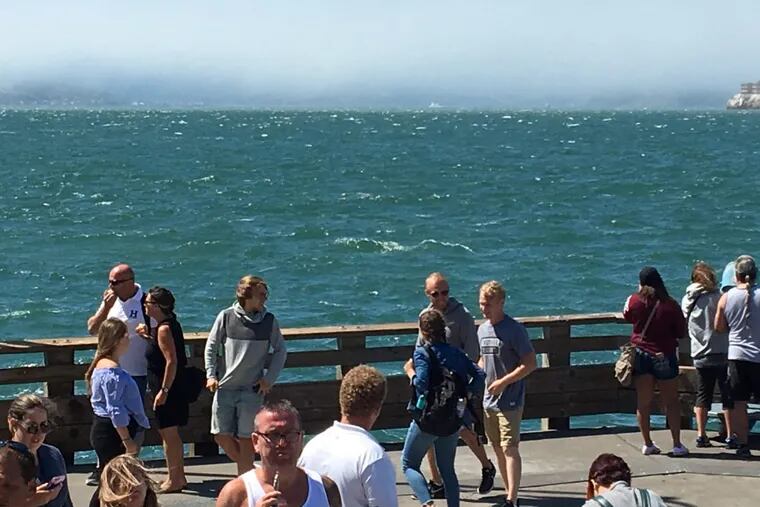 Tourists on the edge of San Francisco Bay.