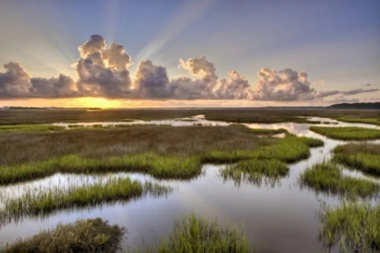 Photograph by Will Dickey--Sunrise over the St. Johns River at Round Marsh, in the Theodore Roosevelt Area of the Timucuan Preserve, August 24, 2011 in Jacksonville, Florida. (Photo Credit: Will Dickey)