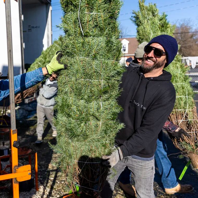 Looking for a Christmas tree near Philly? Check out the closet farm to you.