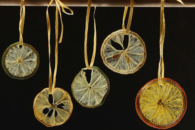 Lemon and orange slices dry into pretty wheels to use as garnishes for drinks or baked goods, or as ornaments or even gift tags.