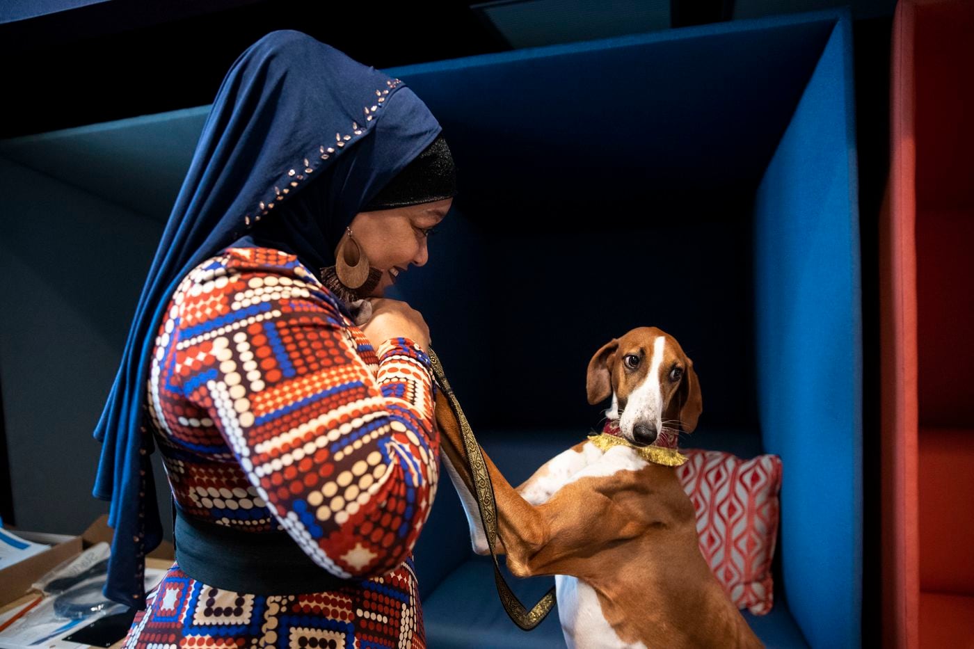 Aliya Taylor plays with Bahir, one of five of her Azawakh dogs she entered in the Kennel Club of Philadelphia's National Dog Show.
