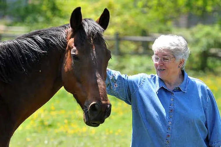 JoAnn Mauger of the Large Animal Protection Society with Dylan, a horse she is nursing back to health at her Chester County farm.