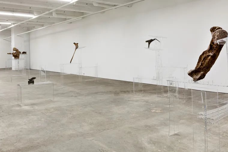Most fragmentary: At the Fabric Workshop, part of “Allora & Calzadilla: Intervals” is pieces of dinosaur bones mounted on acrylic lecterns, with no attempt to evoke the entire creature. CARLOS AVENDANO