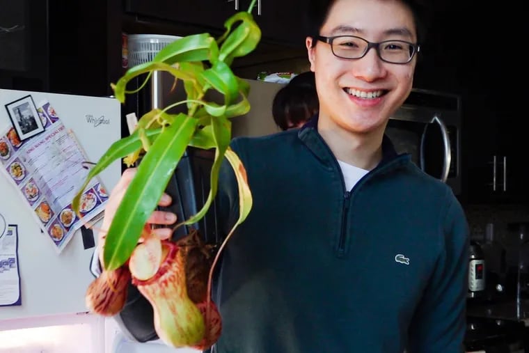 Kevin Zhang shows off a pitcher plant that is a hybrid of two plant species he really likes.