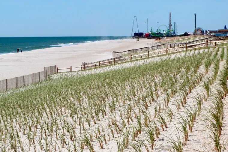 This May  photo, shows a new sand dune in the Ortley Beach section of Toms River, N.J., which has traditionally been one of the sections of the Jersey shore hardest hit by erosion.