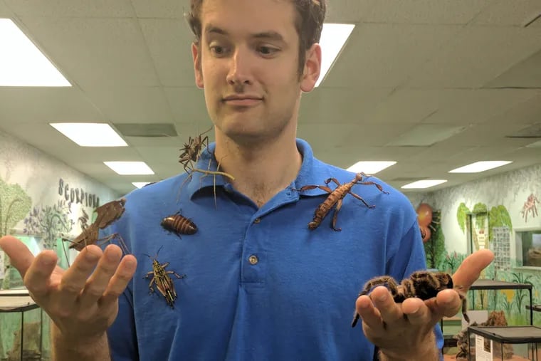John Cambridge, chief executive officer of the Philadelphia Insectarium and Butterfly Pavilion, says more than 7,000 creatures were stolen from the museum. In this 2017 photo, he showed off insects and other animals from the collection.