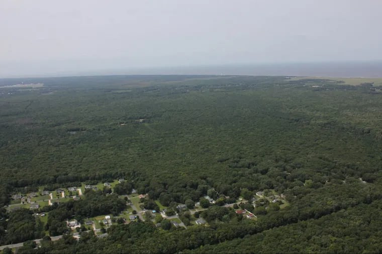 A view of the 477-acre tract purchased by a group of environmental organizations, along with the state of New Jersey, that will be added to Cape May National Wildlife Refuge and provided added protection for migrating birds.