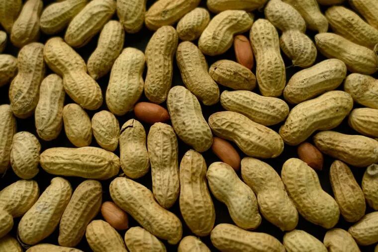 For years, parents of babies who seem likely to develop a peanut allergy have gone to extremes to keep them away from peanut-based foods. Now, a major study suggests that is exactly the wrong thing to do. (AP Photo/Patrick Sison)