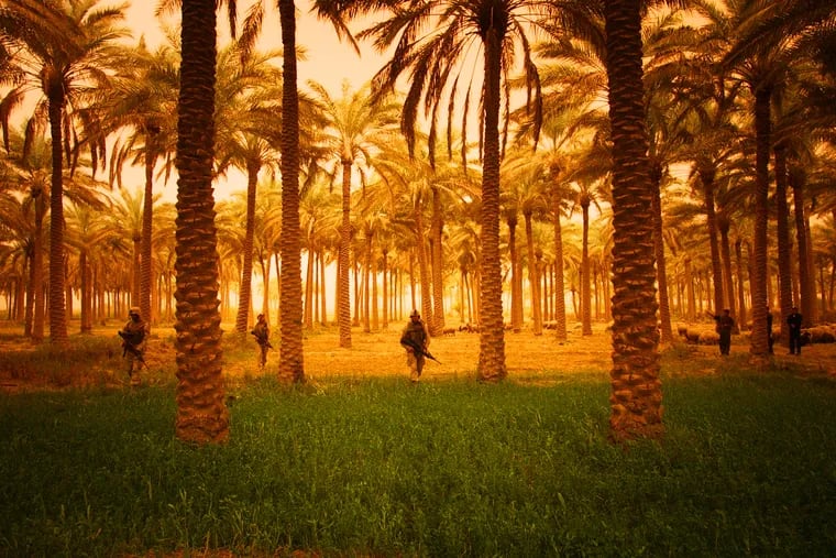 U.S. Marines from the 2nd Battalion, 4th Marine Regiment's Echo Company patrol through a grove of palm trees in Ramadi, Iraq, on April 2, 2004.