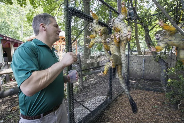 Adam G. Denish, veterinarian at the Elmwood Park Zoo, has collaborated with doctors for humans to treat the animals, including two squirrel monkeys with diabetes.