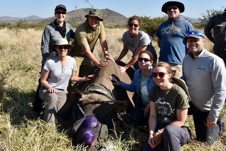 The PARCA group with the rhino they helped to dehorn at the Manyoni Private Game Reserve in South Africa.
