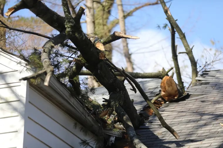 Steve Olkowski surveys the damage to his house from two fallen pine trees.