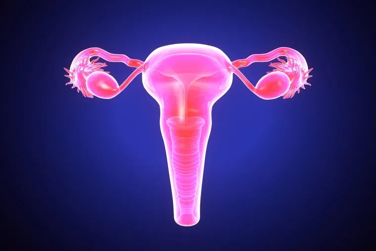 Penn Medicine announced Tuesday that it would begin performing uterine transplants as part of a clinical trial, the third such program in the United States.