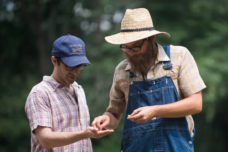 ‘Farmer Nate’ Kleinman shows William Levin (left) seeds at one of the fields of the Alliance Colony ‘reboot’ in , Pittsgrove, NJ.