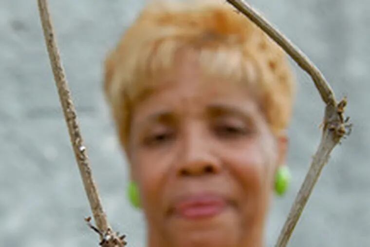 Pastor Beverly Clayburn is framed bya loop of kudzu, which is taking over Straight Gate Church in Grays Ferry.
