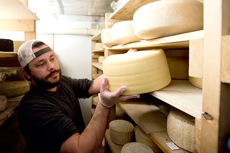 Drew Bristol checks a cheese at a facility at Camphill Village at Kimberton Hills in Phoenixville rented by Birchrun Hills Farm. Many small farmers must increasingly rely on community relationships and higher product quality. DAVID SWANSON / Staff Photographer