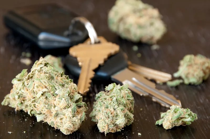Marijuana lying on a table next to car keys.