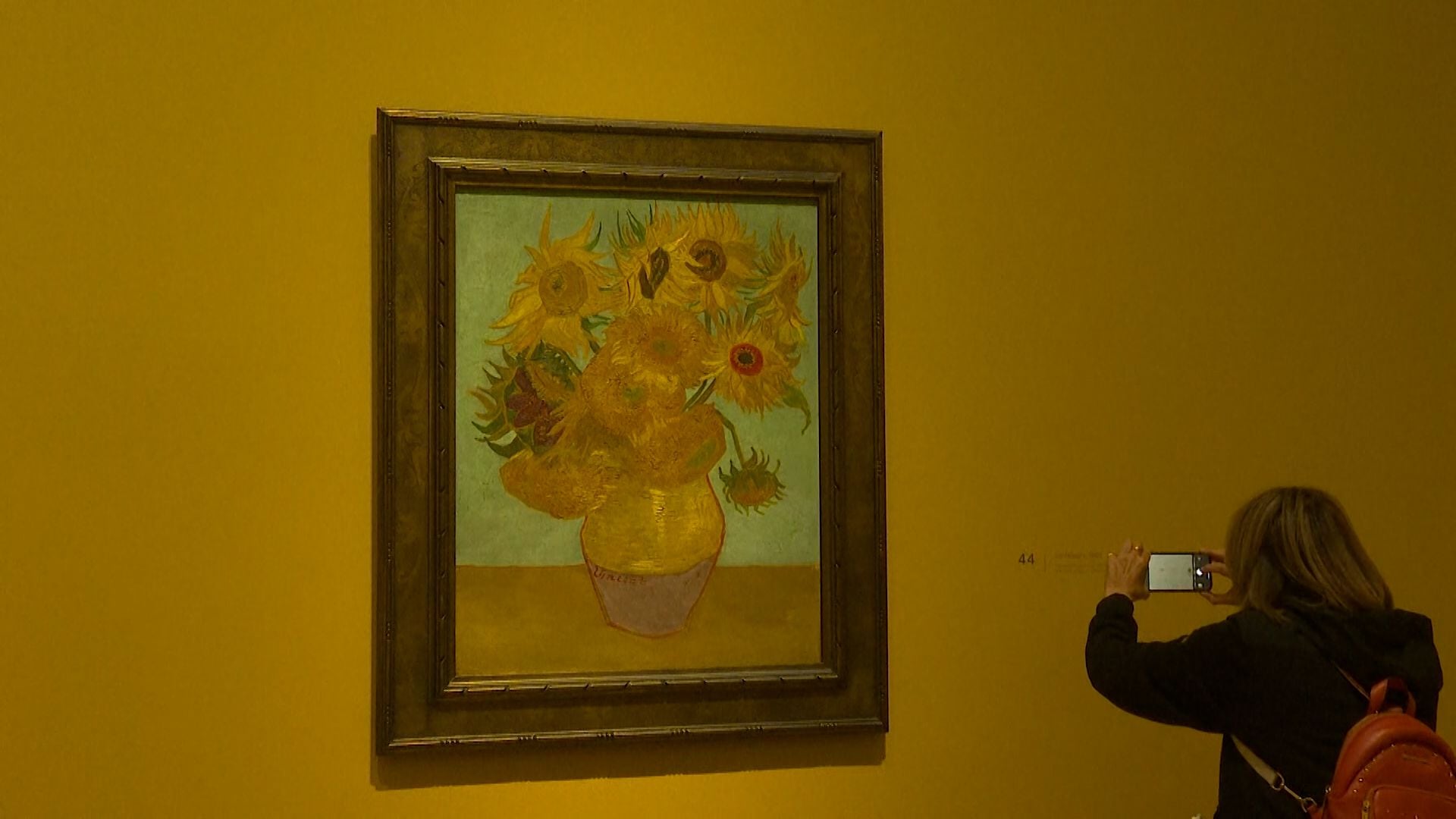 Philly's Van Gogh painting safe after climate activists throw