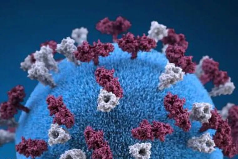 Health authorities warned Monday of a potential measles exposure in Northeast Philadelphia and Montgomery County. The photo shows a 3D graphical representation of measles virus particle.