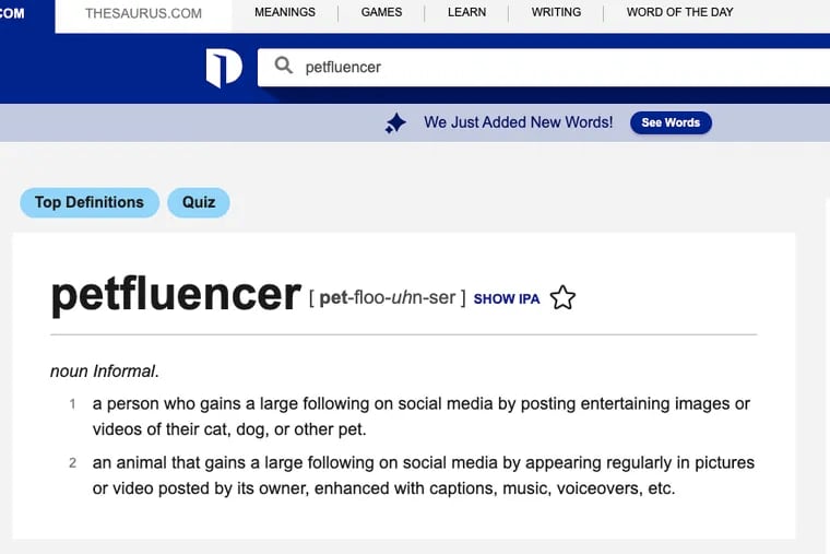 Dictionary.com has added over 300 new words, including petfluencer, to reflect modern language the company announced Tuesday.