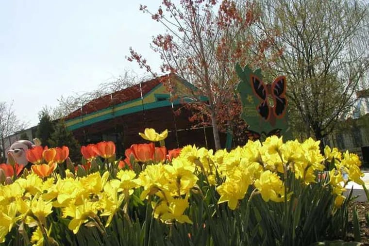 Among amenities at the Camden Children's Garden is a butterfly house. The state has given the garden's operators until March 31 to remove all property, including its amusement rides, gazebo, and giant dinosaur.