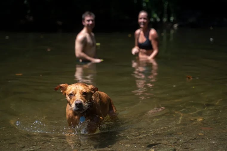 John Entwistle (left) and Jill St. Clair, of Fishtown, look on as Lucy, the dog runs in an out of the Wissahickon Creek in effort to keep cool at Devils Pool in Philadelphia on Saturday, July 20, 2019.