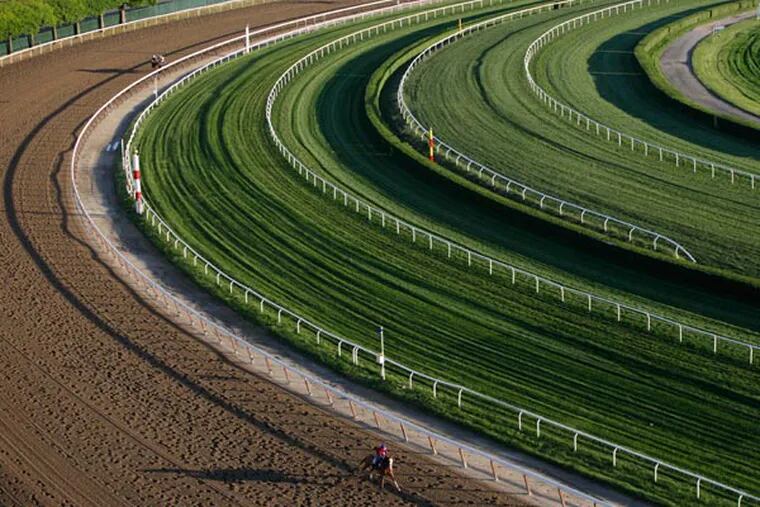 A horse gallops around the fourth turn of the 1 1/2 mile track during a morning workout at Belmont Park, Wednesday, June 5, 2013 in Elmont, N.Y. The Belmont Stakes horse race is Saturday. (Mark Lennihan/AP)