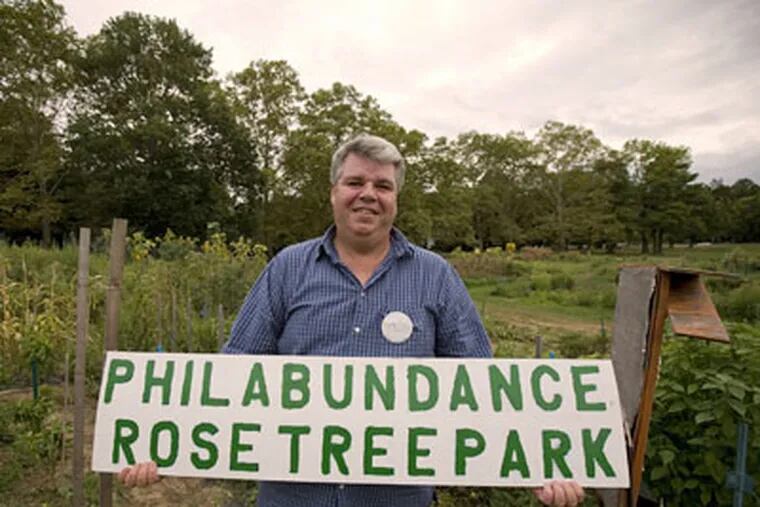 Steve Dalton, the unofficial spokesman for the community gardeners at Rose Tree Park in Media, where members often donate food to Philabundance. (Ed Hille/Inquirer)
