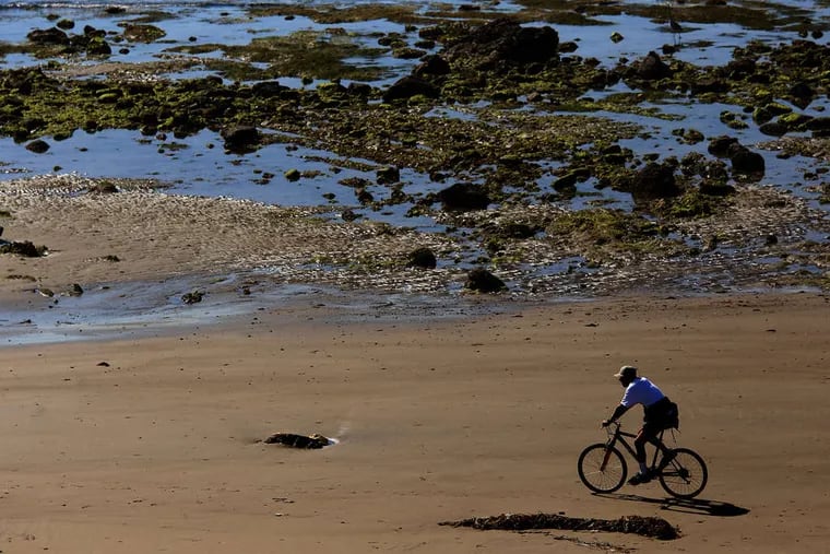 A cyclist rides on the beach at Coal Oil Point near Santa Barbara, Calif., days after a pipeline ruptured, causing an oil spill.