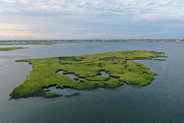No Mans Island, in Grassy Sound, near West Wildwood, is being sold for $200,000.