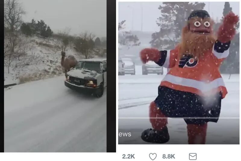 Philly’s first snow Camel roams highway, winter widens Gritty’s eyes(02)