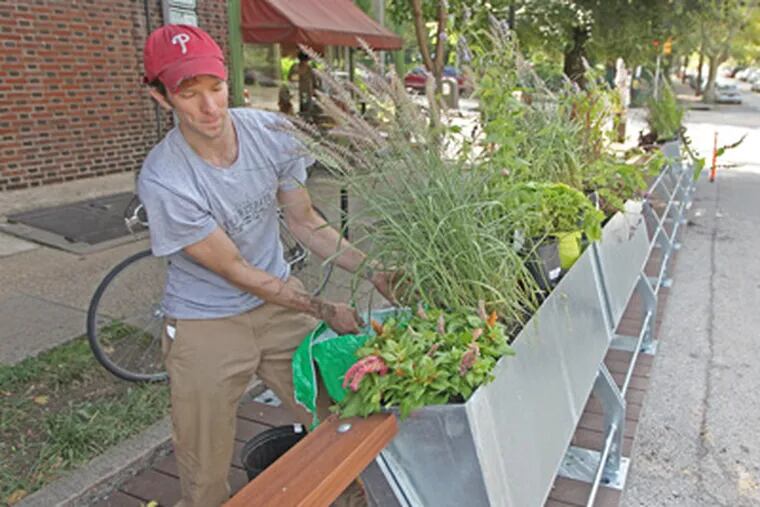 At the city's debut parklet at 43d and Baltimore, Joe McNulty of University
City District tends to flora. (Michael Bryant / Staff Photographer)
