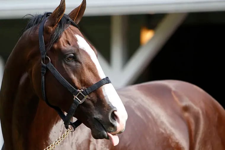 Union Rags could be looking back and sticking out his tongue on Saturday, too.