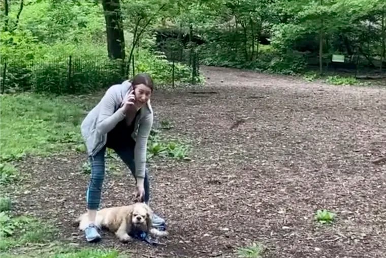 This image made from a video provided by Christian Cooper shows Amy Cooper with her dog calling police in New York's Central Park.