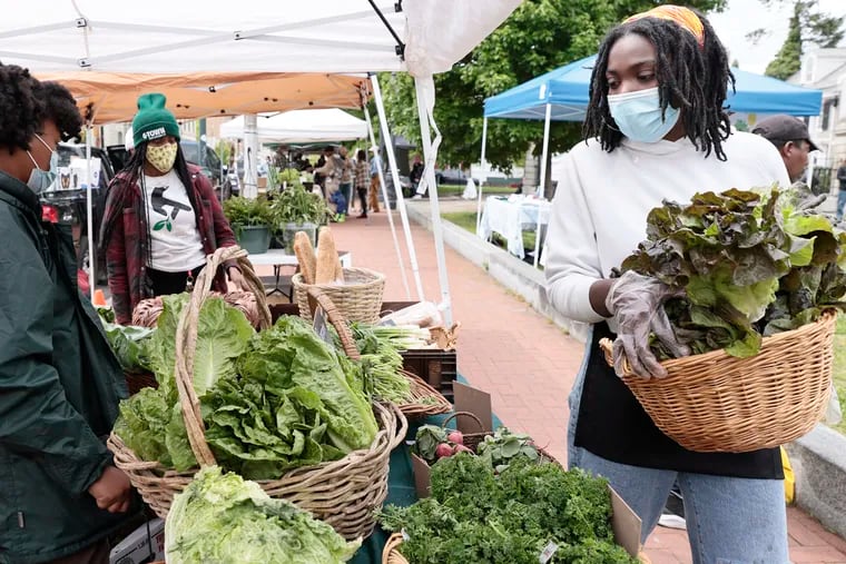 Bakari Clark (right) brings out fresh red leaf lettuce while working the Philly Forest table at the Germantown & School House Farmers Market at Market Square Park in the Germantown section of Phila., Pa. on May 8, 2021.